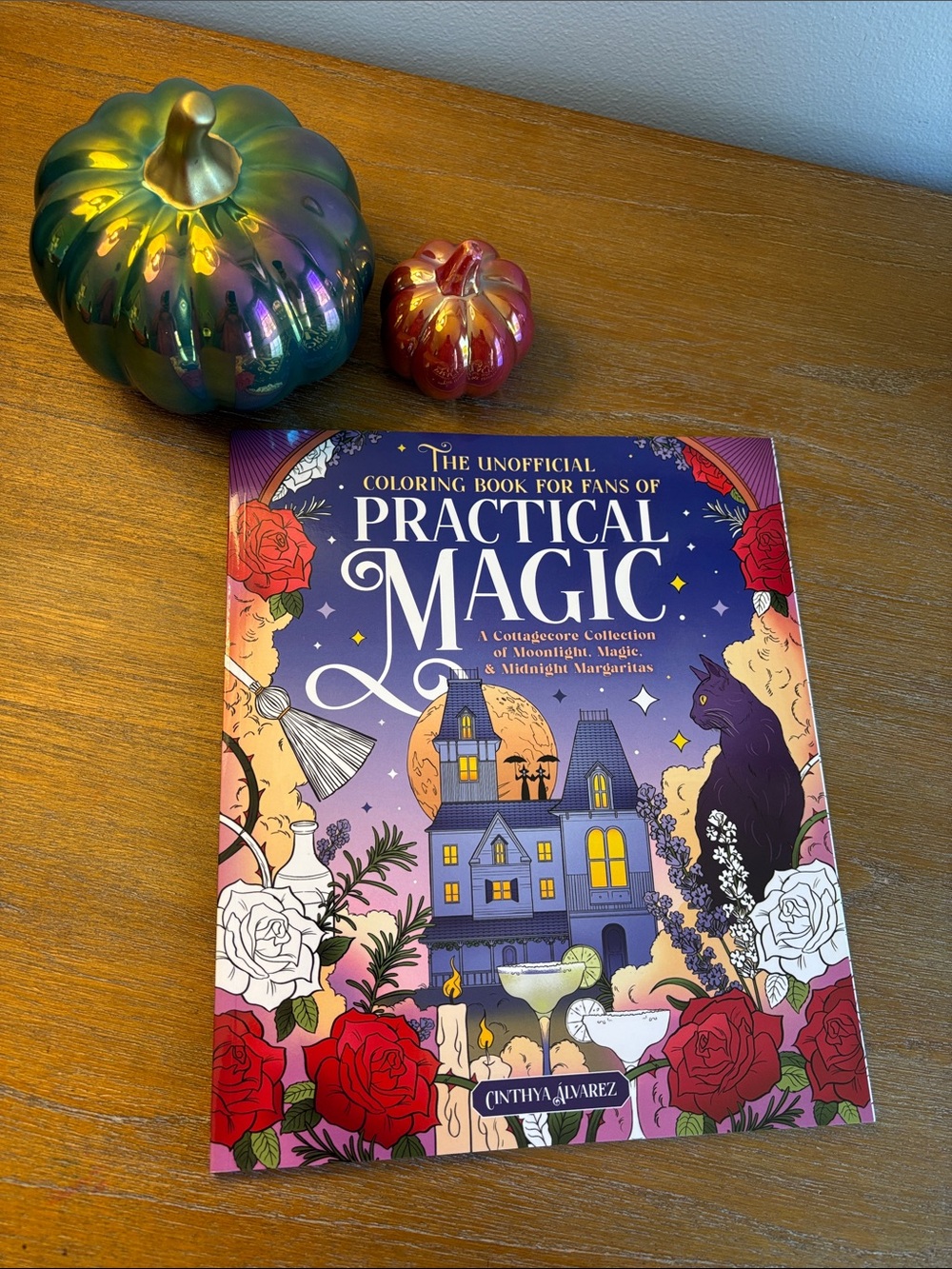 The Unofficial Coloring Book For Fans of Practical Magic, NWT